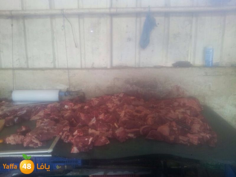 noor jam3iya j (4).JPG